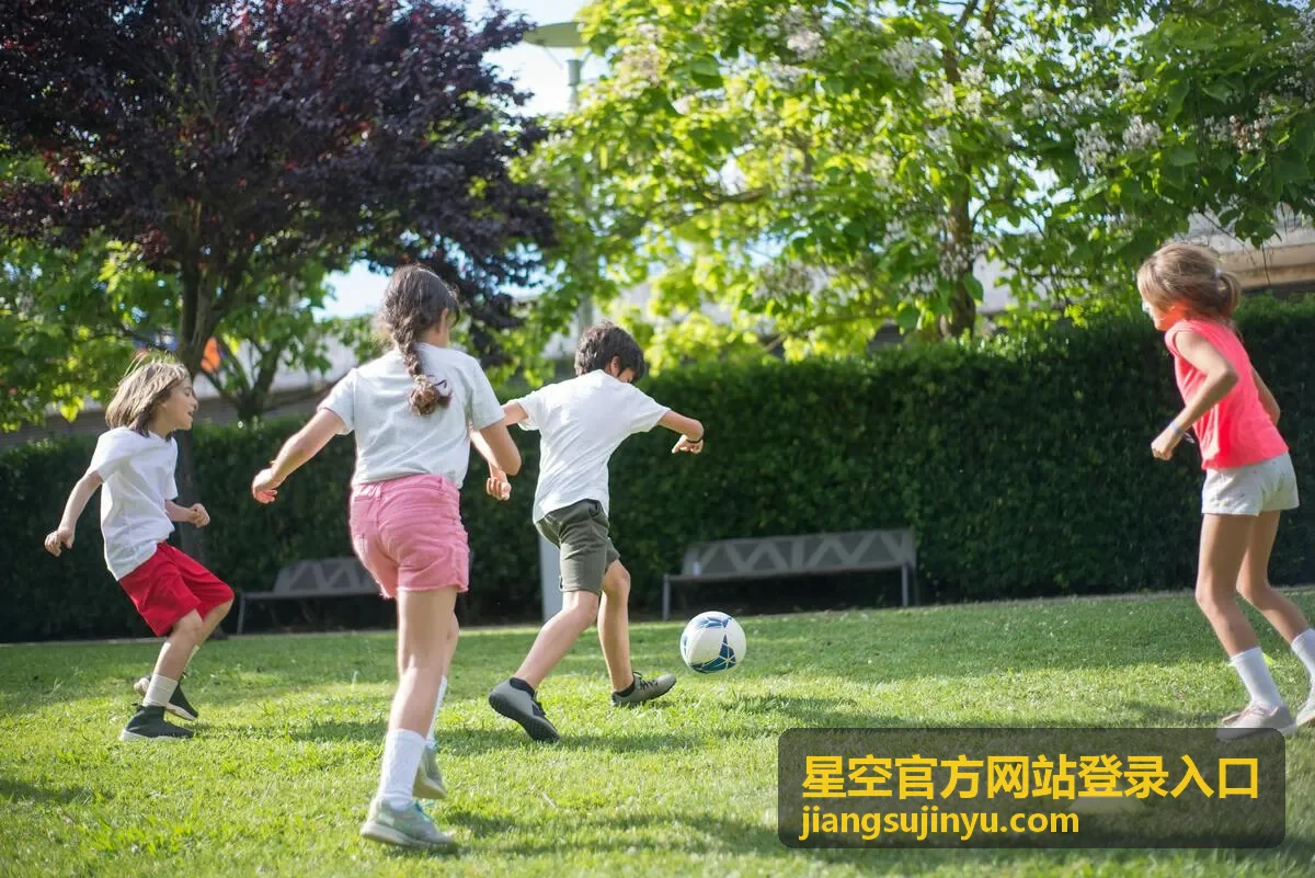 星空官方网站登录入口设备列表与登录记录查看